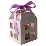 lantern-cupcake-boxes-300-7