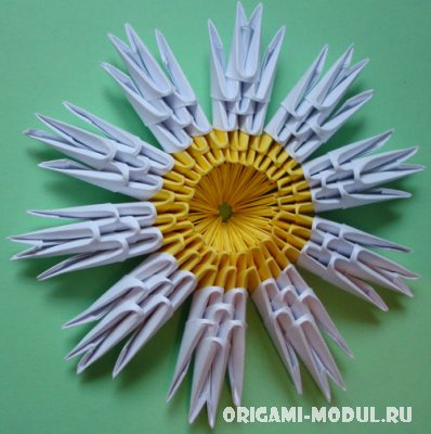 Оригами модульное ромашка в Оригами модульное ромашка в