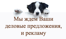 Жду ваш. Ждем Вашу рекламу. Ждем ваших предложений. Ждем ваших объявлений. Ждем ваших фотографий.