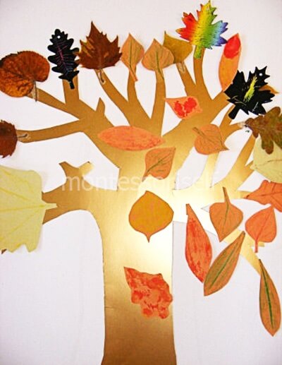 Мастер класс совушки из листьев. Autumn for preschoolers. Осенний мастер класс для детей 6-7 лет. Autumn craft. Autumn crafts for kindergarten.