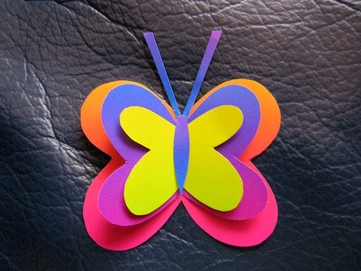 Объемная бабочка из бумаги своими руками. Поделка бабочка. Бабочка из картона. Объемные бабочки. Бабочки из цветного картона.
