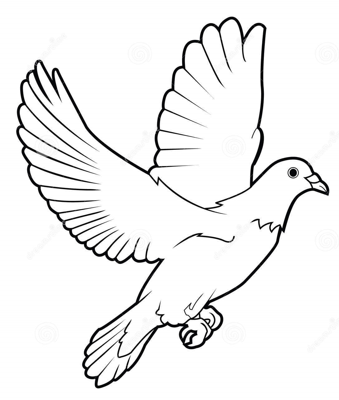 Графическое изображение голубя